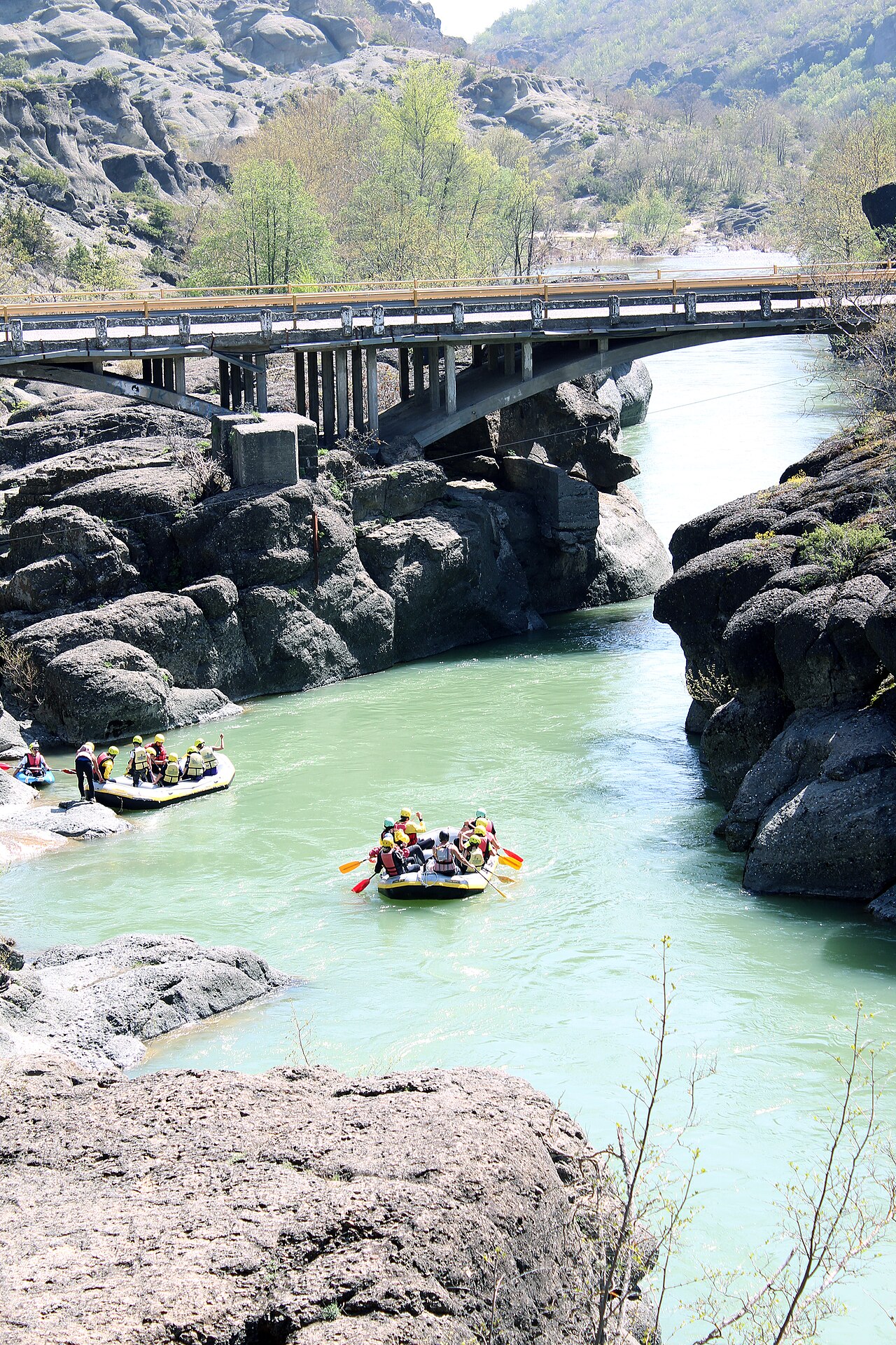 Vjosa Rafting Day